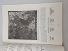 18780h_8dd870f6391e72c_sm.jpeg