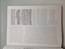 18785e_8dd871c7668528d_sm.jpeg