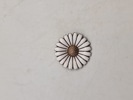 18823a_8dd87cdc4af01a1_sm.jpeg
