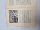 18906d_8dd87e559bfc84a_sm.jpeg