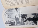 18908i_8dd87e5808391af_sm.jpeg