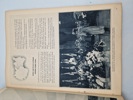 18912g_8dd87e5cbe84444_sm.jpeg