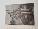 19034e_8dd8bd7aecca833_sm.jpeg