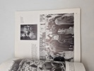 19106h_8dd8bdb609a82c2_sm.jpeg