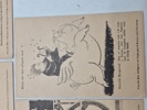 19502f_8dd96cb17ad252c_sm.jpeg