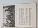 19503e_8dd96cb258d48c2_sm.jpeg
