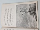 19503f_8dd96cb2635b04c_sm.jpeg