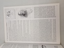 19642f_8dd985895cef37f_sm.jpeg