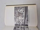19643g_8dd9858a7ab701f_sm.jpeg