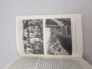 19652g_8dd9859357beda6_sm.jpeg