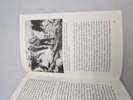19652h_8dd98593621c337_sm.jpeg
