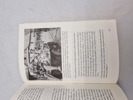 19652i_8dd985936a625aa_sm.jpeg