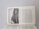 19652j_8dd985937337b54_sm.jpeg