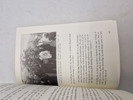 19652o_8dd98593a052070_sm.jpeg