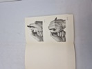 19653j_8dd98594a5faf79_sm.jpeg