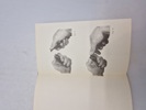19653k_8dd98594af736e3_sm.jpeg