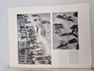 19657i_8dd9859a84da535_sm.jpeg