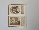 19682e_8dd985b9a315c98_sm.jpeg
