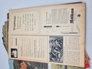 19776i_8dd9d07d6c95233_sm.jpeg