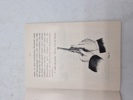 19779l_8dd9d081412daa3_sm.jpeg