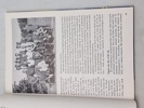 19929h_sm.jpeg