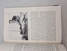 19933i_8dda1a6bf2d7057_sm.jpeg