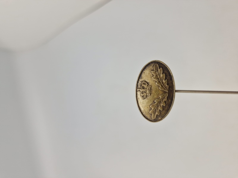 Pin- statsskovfoged