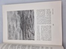 20611y_8ddae3cd7893dcb_sm.jpeg