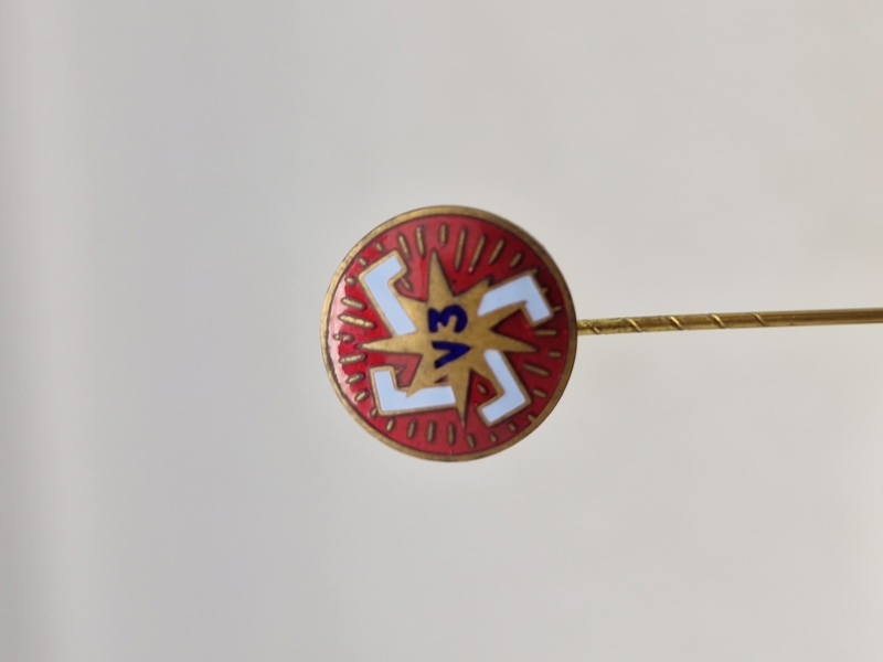Anti nazistisk V3 pin sjælden