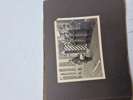 20962n_8ddb30646a8adc6_sm.jpeg