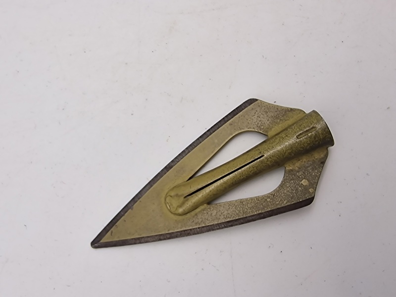 Pilespids