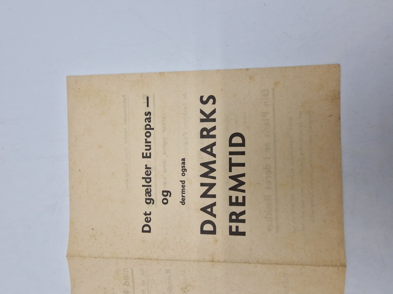 Original DNSAP flyer 