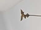 21499a_8ddbd38c9262388_sm.jpeg