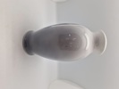 21506b_8ddbd429cf33aff_sm.jpeg