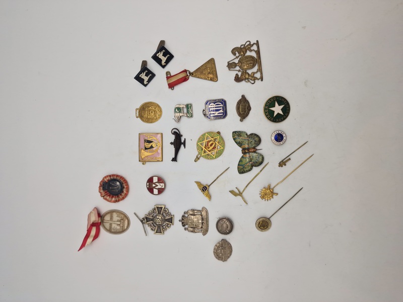 Samling diverse pins 