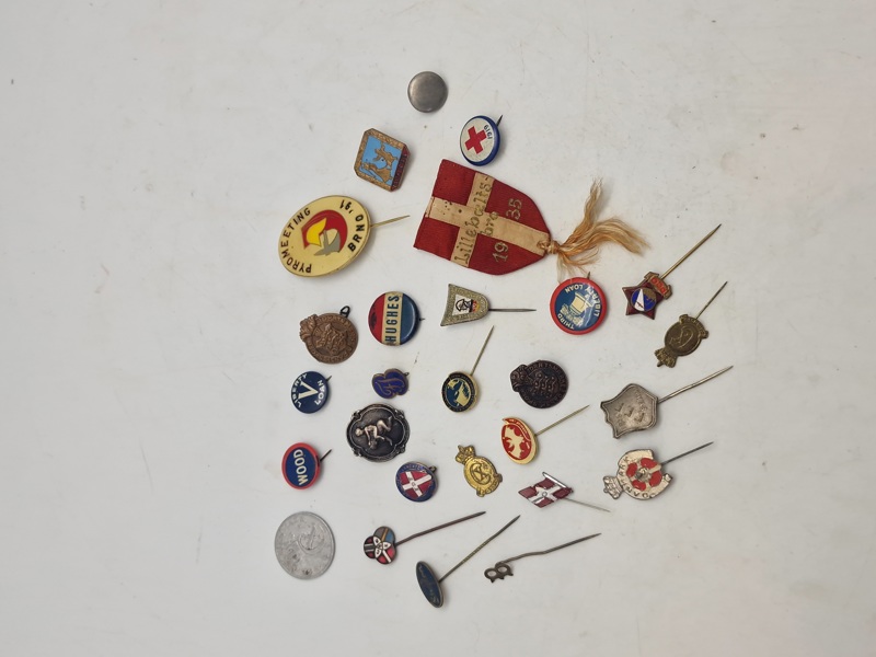 Samling diverse pins 