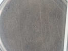 22580j_8ddd34b111f4feb_sm.jpeg