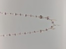 22803a_8ddd4d0717dd2ec_sm.jpeg