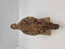 Udstoppet agerhøne (Perdix perdix)