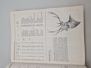  "Records of Big Game" af Rowland Ward Publications (Nummereret) 