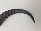 Oplukkere lavet ud af horn