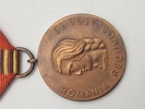 Original Crusade Against Communism Medal (Medalia Cruciada împotriva comunismului)
