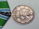 Originalt eks af Hjemmeværnets Anciennitetstegn (50 år)