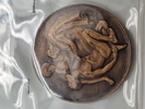 Original Prins Carl medalje 1921