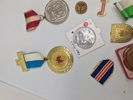 Lot diverse pins og medaljer 