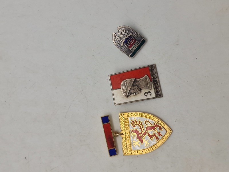 Lot diverse pins 