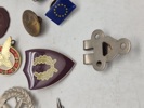 Lot diverse pins og nåle 