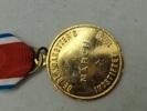 Lot marchmedaljer (De Blå Baretter)  