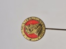 Lot diverse pins og nåle 