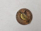 Lot diverse pins og nåle 